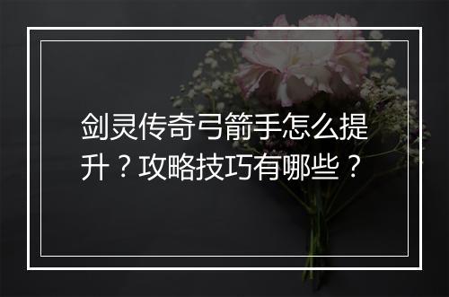 剑灵传奇弓箭手怎么提升？攻略技巧有哪些？