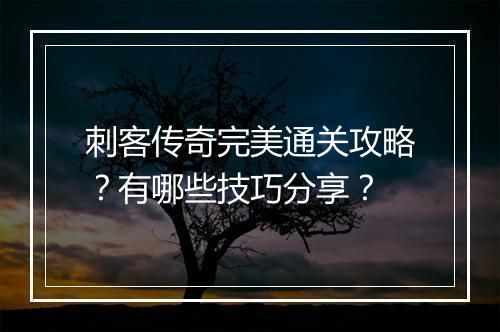 刺客传奇完美通关攻略？有哪些技巧分享？