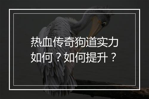 热血传奇狗道实力如何？如何提升？