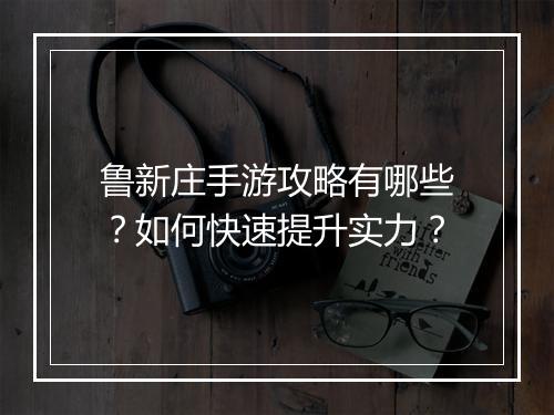 鲁新庄手游攻略有哪些？如何快速提升实力？