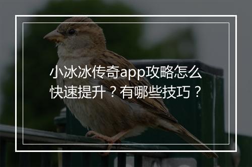 小冰冰传奇app攻略怎么快速提升？有哪些技巧？