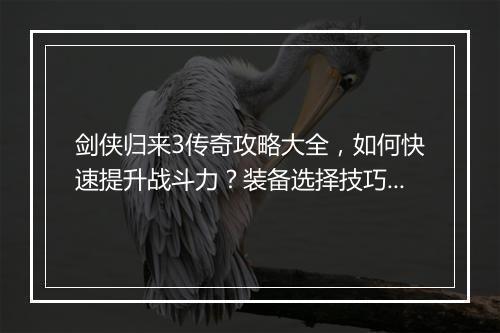 剑侠归来3传奇攻略大全，如何快速提升战斗力？装备选择技巧揭秘？