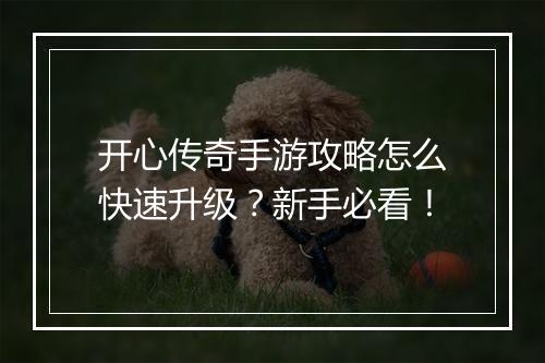 开心传奇手游攻略怎么快速升级？新手必看！