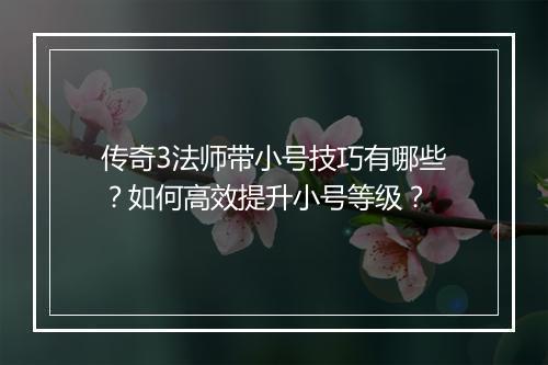 传奇3法师带小号技巧有哪些？如何高效提升小号等级？