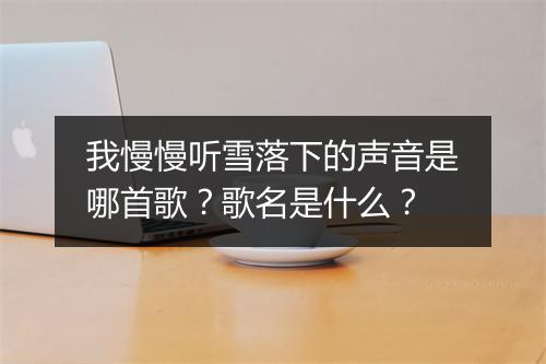 我慢慢听雪落下的声音是哪首歌？歌名是什么？
