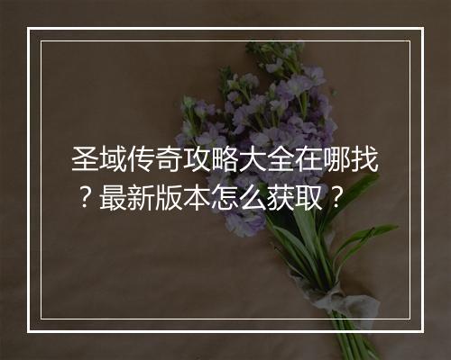 圣域传奇攻略大全在哪找？最新版本怎么获取？