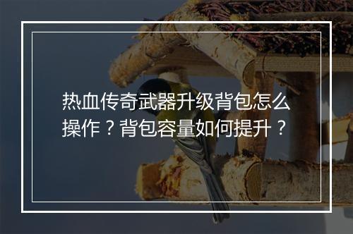 热血传奇武器升级背包怎么操作？背包容量如何提升？