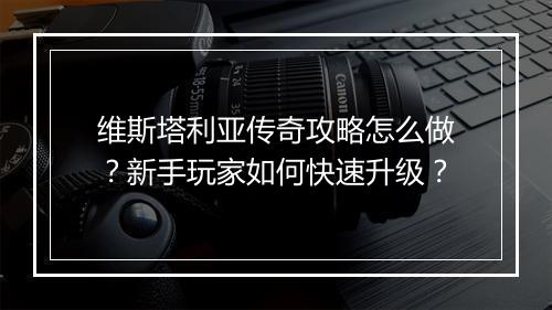 维斯塔利亚传奇攻略怎么做？新手玩家如何快速升级？