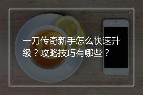 一刀传奇新手怎么快速升级？攻略技巧有哪些？