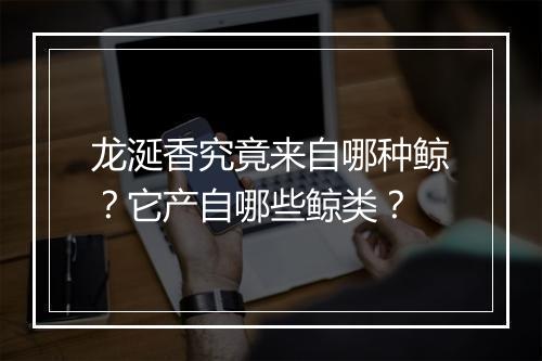 龙涎香究竟来自哪种鲸？它产自哪些鲸类？