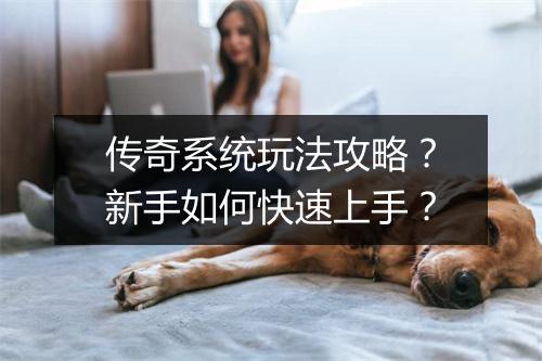 传奇系统玩法攻略？新手如何快速上手？