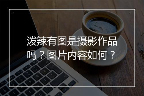 泼辣有图是摄影作品吗？图片内容如何？