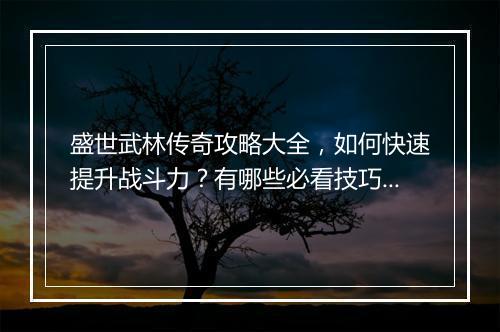 盛世武林传奇攻略大全，如何快速提升战斗力？有哪些必看技巧？