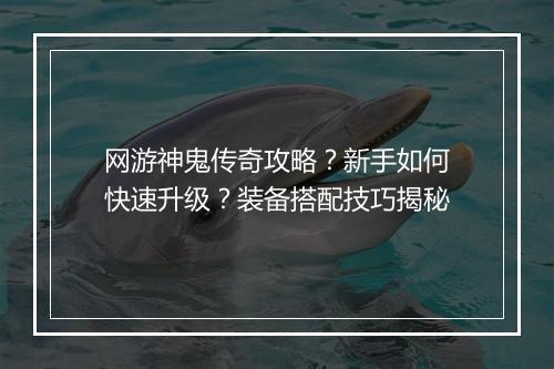 网游神鬼传奇攻略？新手如何快速升级？装备搭配技巧揭秘