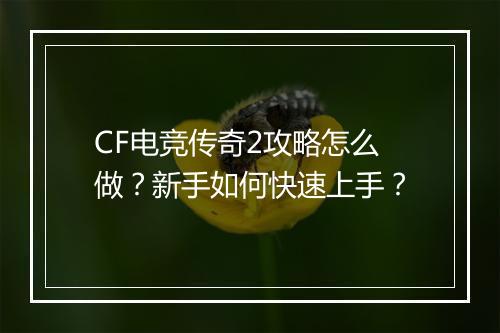 CF电竞传奇2攻略怎么做？新手如何快速上手？