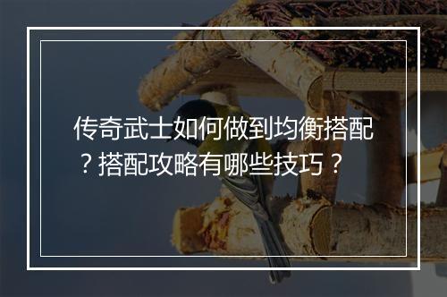 传奇武士如何做到均衡搭配？搭配攻略有哪些技巧？