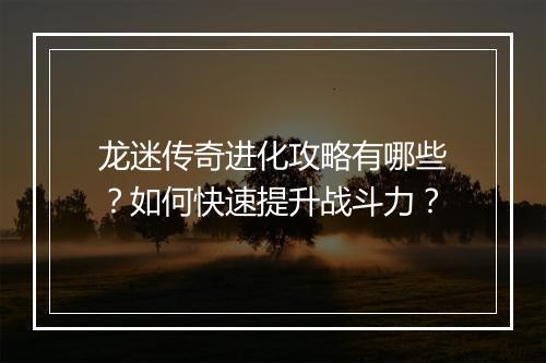 龙迷传奇进化攻略有哪些？如何快速提升战斗力？