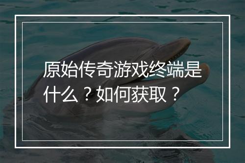 原始传奇游戏终端是什么？如何获取？
