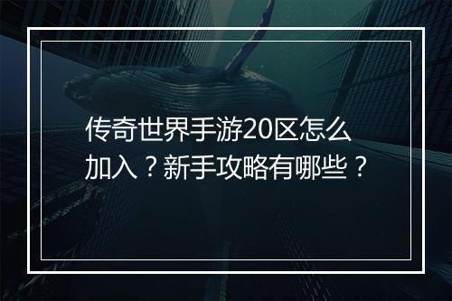 传奇世界手游20区怎么加入？新手攻略有哪些？
