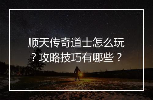 顺天传奇道士怎么玩？攻略技巧有哪些？