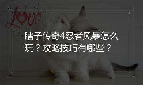 瞎子传奇4忍者风暴怎么玩？攻略技巧有哪些？