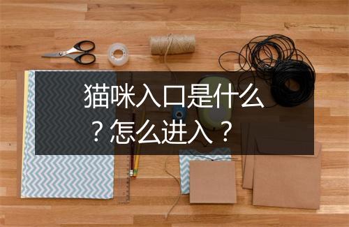 猫咪入口是什么？怎么进入？