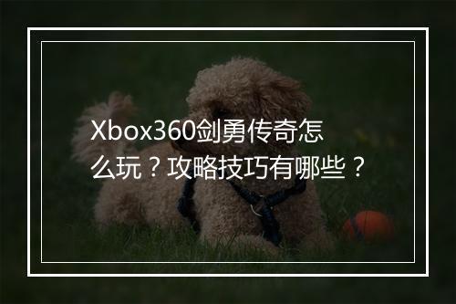 Xbox360剑勇传奇怎么玩？攻略技巧有哪些？