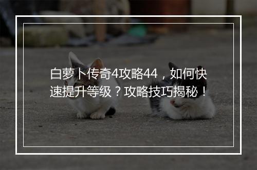 白萝卜传奇4攻略44，如何快速提升等级？攻略技巧揭秘！