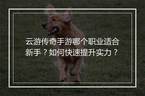 云游传奇手游哪个职业适合新手？如何快速提升实力？