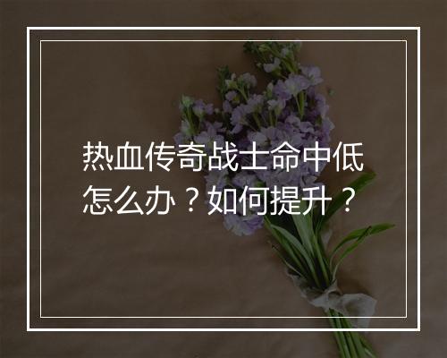 热血传奇战士命中低怎么办？如何提升？