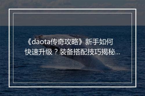 《daota传奇攻略》新手如何快速升级？装备搭配技巧揭秘？
