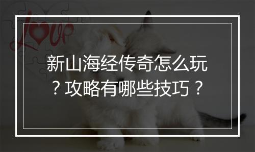 新山海经传奇怎么玩？攻略有哪些技巧？