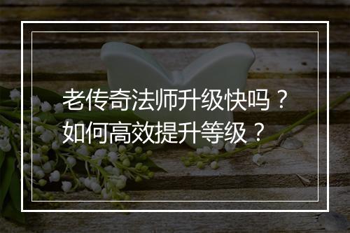 老传奇法师升级快吗？如何高效提升等级？