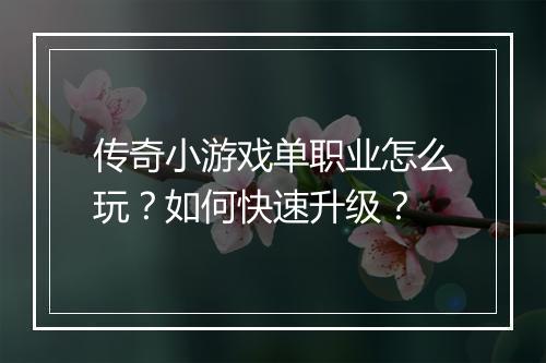 传奇小游戏单职业怎么玩？如何快速升级？