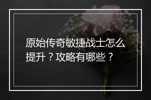 原始传奇敏捷战士怎么提升？攻略有哪些？