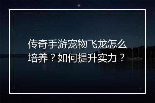 传奇手游宠物飞龙怎么培养？如何提升实力？