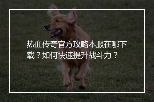 热血传奇官方攻略本服在哪下载？如何快速提升战斗力？