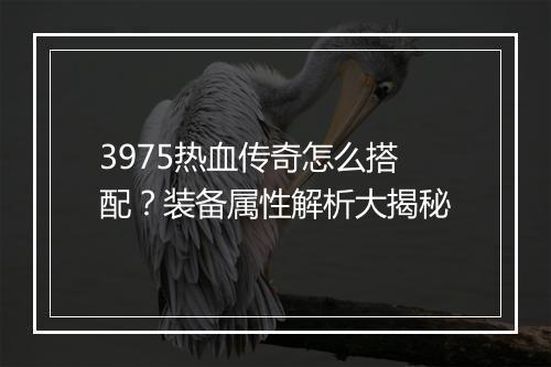 3975热血传奇怎么搭配？装备属性解析大揭秘