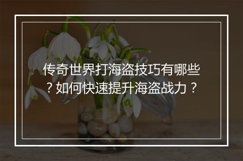 传奇世界打海盗技巧有哪些？如何快速提升海盗战力？