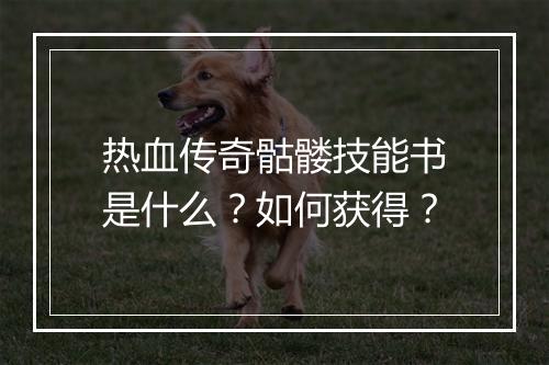 热血传奇骷髅技能书是什么？如何获得？