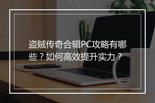 盗贼传奇合辑PC攻略有哪些？如何高效提升实力？