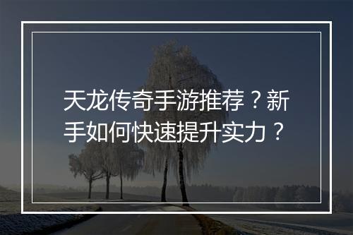 天龙传奇手游推荐？新手如何快速提升实力？