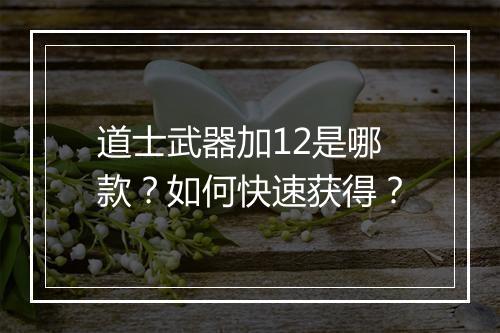 道士武器加12是哪款？如何快速获得？