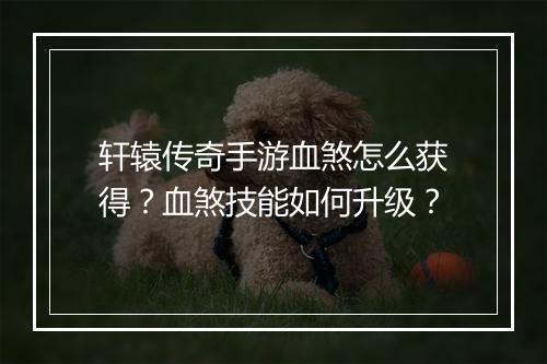 轩辕传奇手游血煞怎么获得？血煞技能如何升级？
