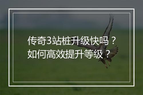 传奇3站桩升级快吗？如何高效提升等级？