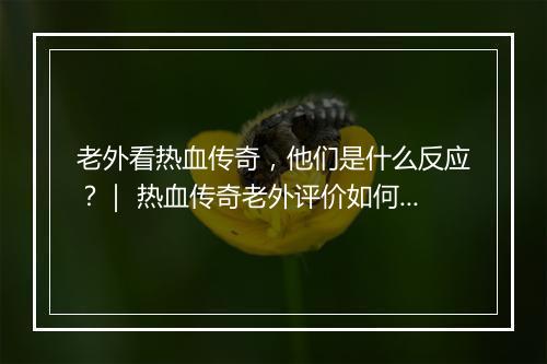 老外看热血传奇，他们是什么反应？｜ 热血传奇老外评价如何？