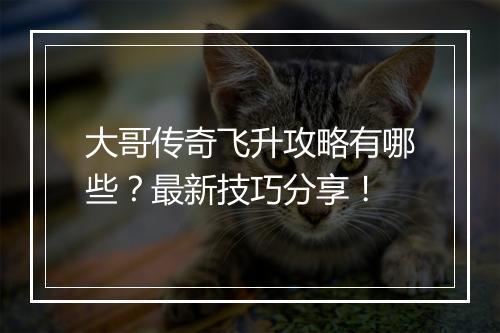 大哥传奇飞升攻略有哪些？最新技巧分享！