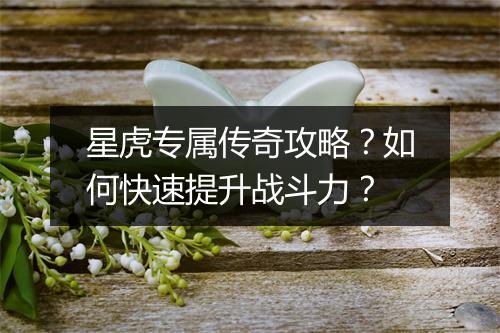 星虎专属传奇攻略？如何快速提升战斗力？