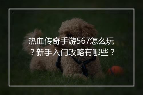 热血传奇手游567怎么玩？新手入门攻略有哪些？
