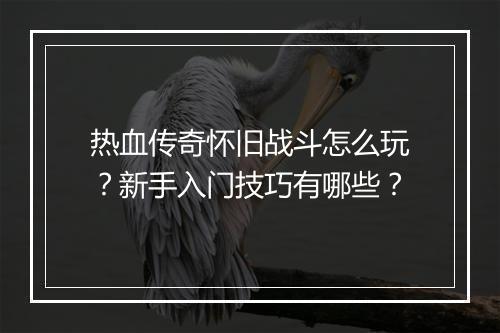 热血传奇怀旧战斗怎么玩？新手入门技巧有哪些？